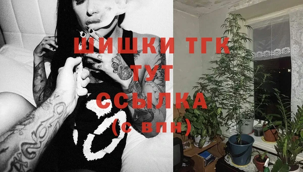 дживик Каменногорск