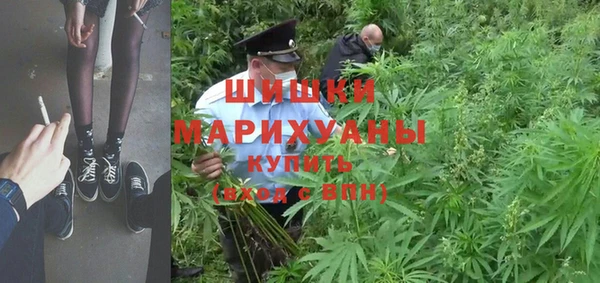 дживик Каменногорск