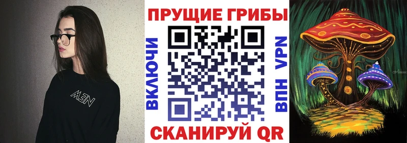 Галлюциногенные грибы Psilocybine cubensis  Купить закладки  Богучар 